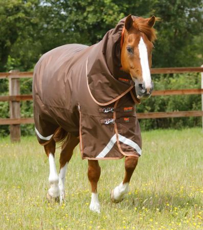 Premier Equine Titan 300g Utedekken med Snug-Fit Hals