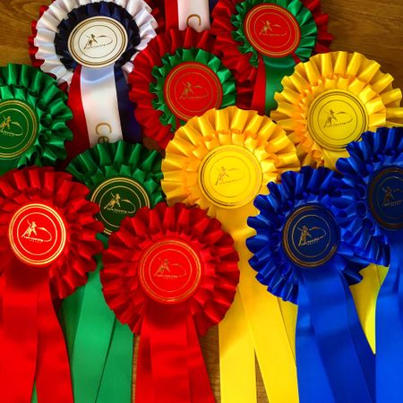 Standard Rosett - 2.-5.plass