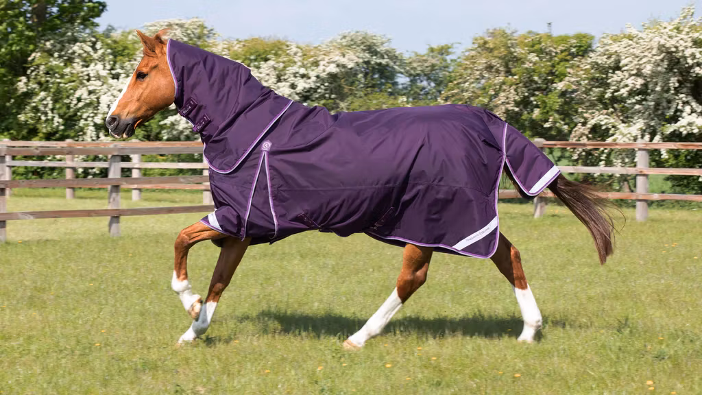 Premier Equine "Buster" Regndekken med hals - 70g (Lilla 145cm på lager)