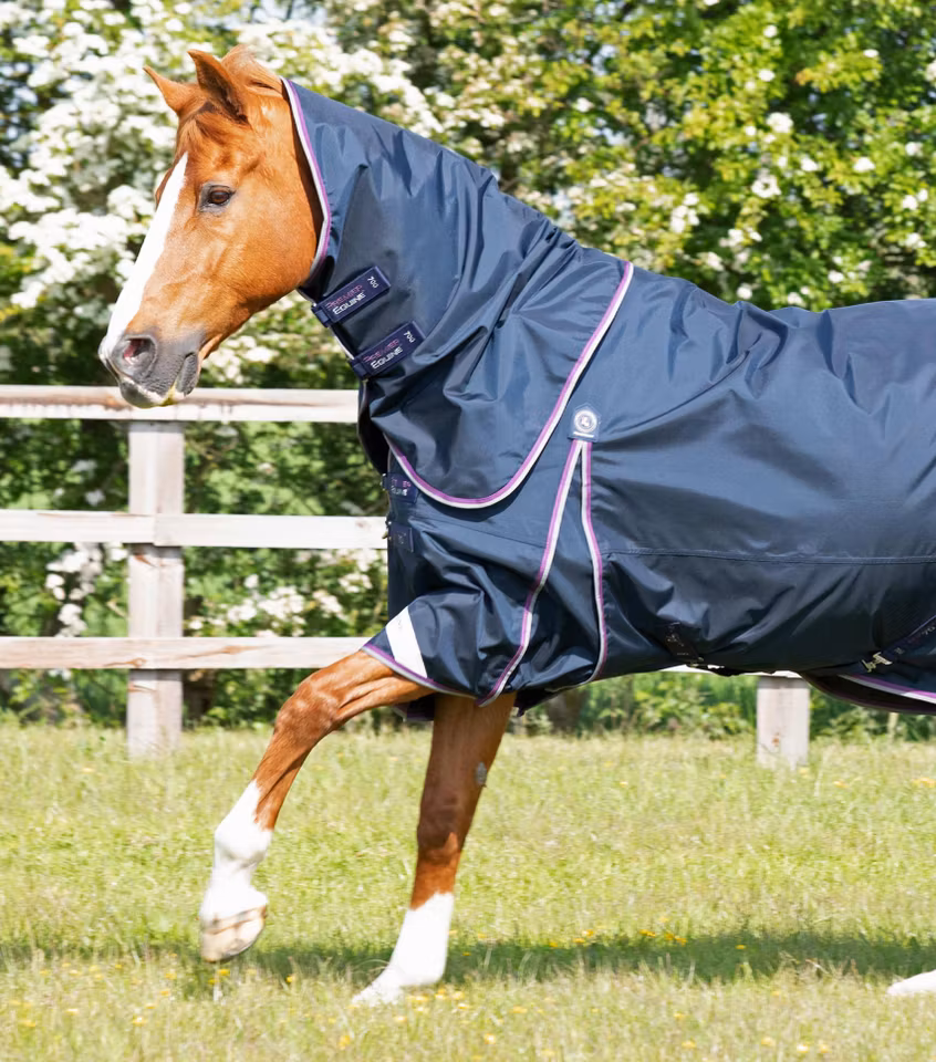 Premier Equine "Buster" Regndekken med hals - 70g (Lilla 145cm på lager)