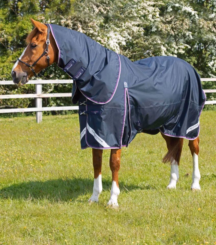 Premier Equine "Buster" Regndekken med hals - 70g (Lilla 145cm på lager)