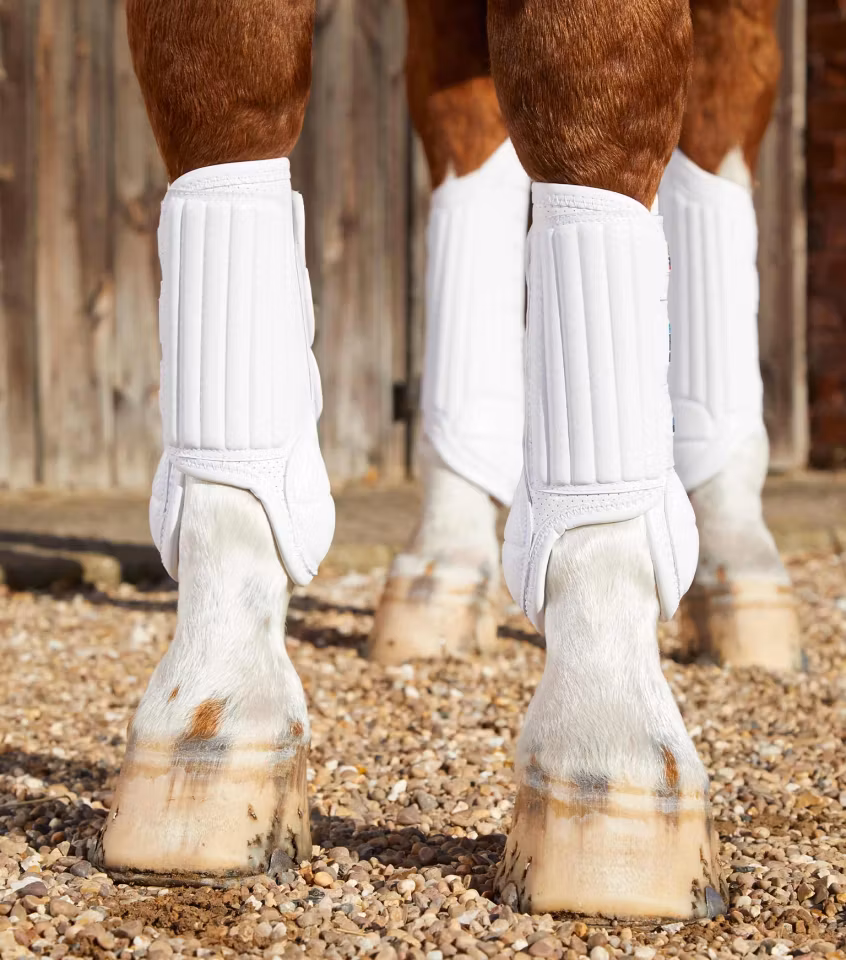 Premier Equine Carbon Flex Terreng-belegg