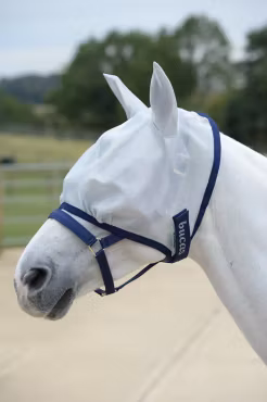 Bucas Freedom Fluemaske
