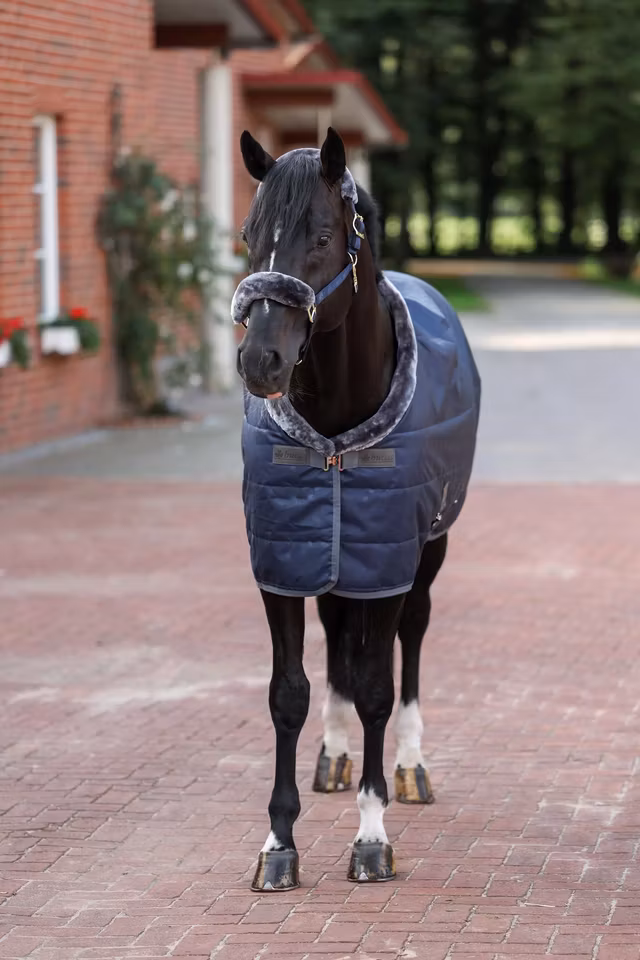 Bucas Show-Line Stalldekken - 150g
