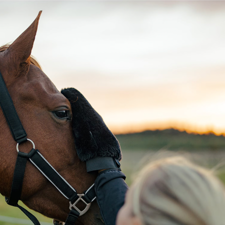 HS Grooming Hanske - Svart
