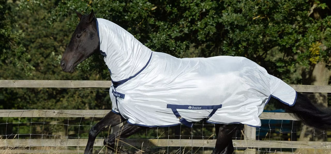 Bucas Freedom Fly Sheet