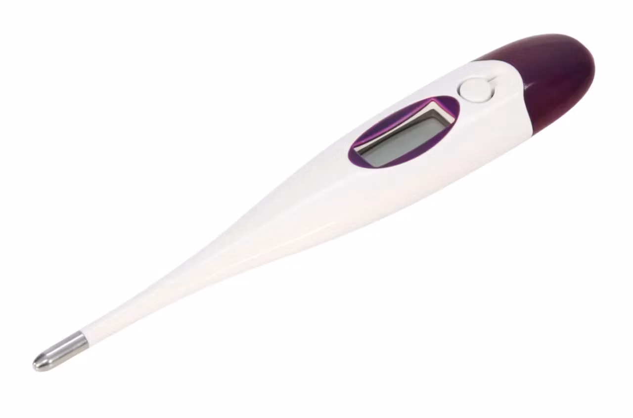 Digitalt Termometer