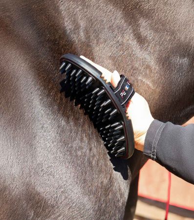 Premier Equine Flexi Massasjebørste