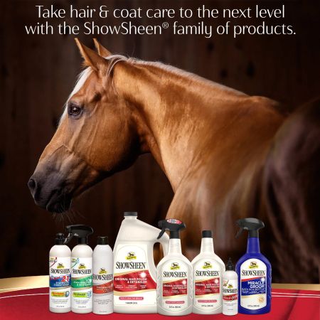 Absorbine 2in1 Shampoo & Conditioner