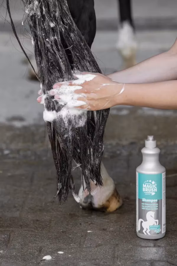 MagicBrush Shampoo with Wheat Proteins - 1000ml