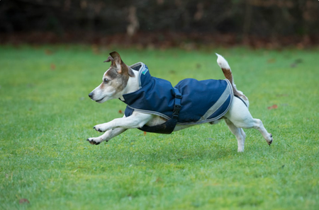 Bucas Freedom Dog Rug