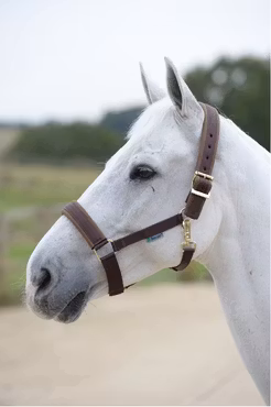 Bucas Grime "Comfort"