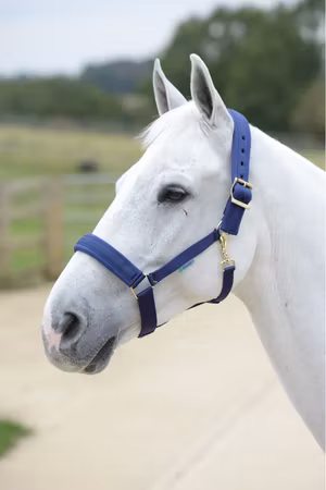 Bucas Grime "Comfort"