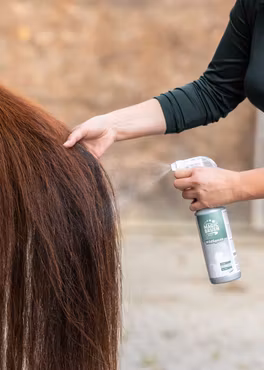 MagicBrush Premium Pelsglans - "Wild Spices" 500ml