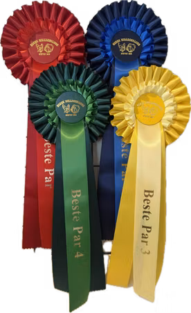 Standard Rosett - 2.-5.plass