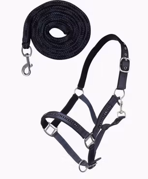 HKM Crystal Grime med Leietau