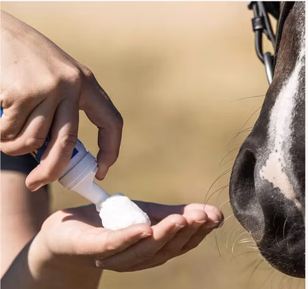 BioSun SPF 50 - Solkrem til hest