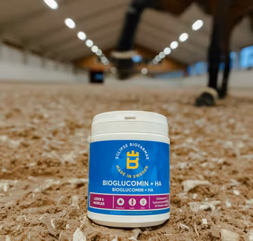 Biofarmab Bioglucomin + HA - 450g