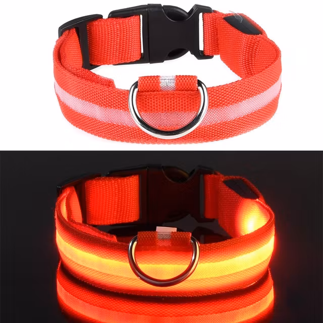 LED koiran kaulapanta