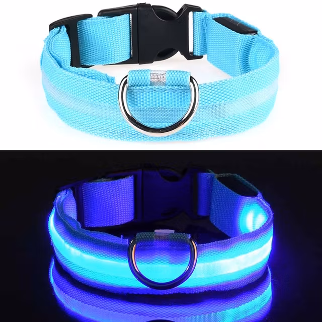 LED koiran kaulapanta