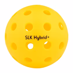 Selkirk+Hybrid