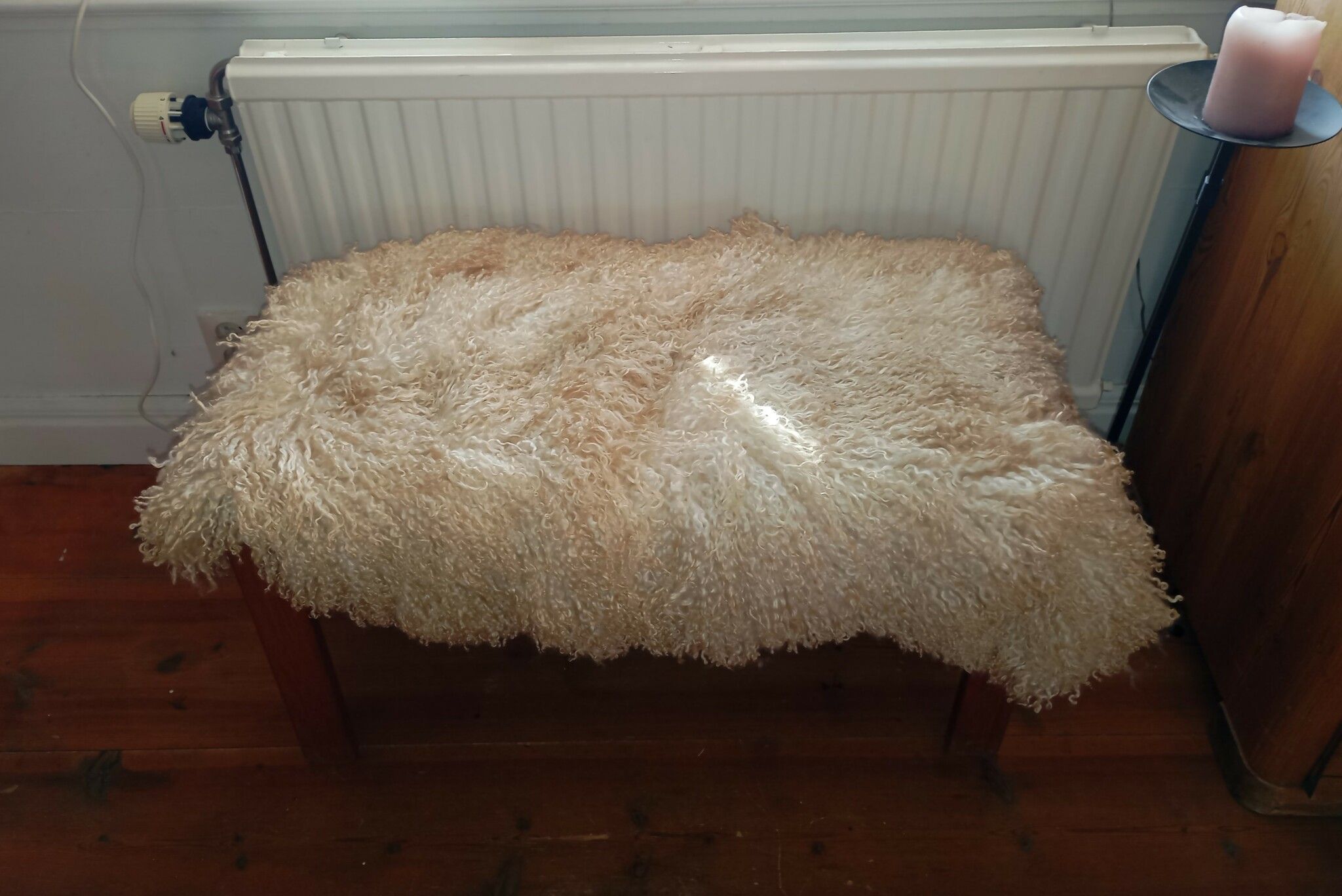 Fårskinn, äggskalsvit med vackert krus
