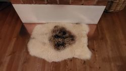 Fårfäll, äggskalsvit med brun, stor fläck på ryggen