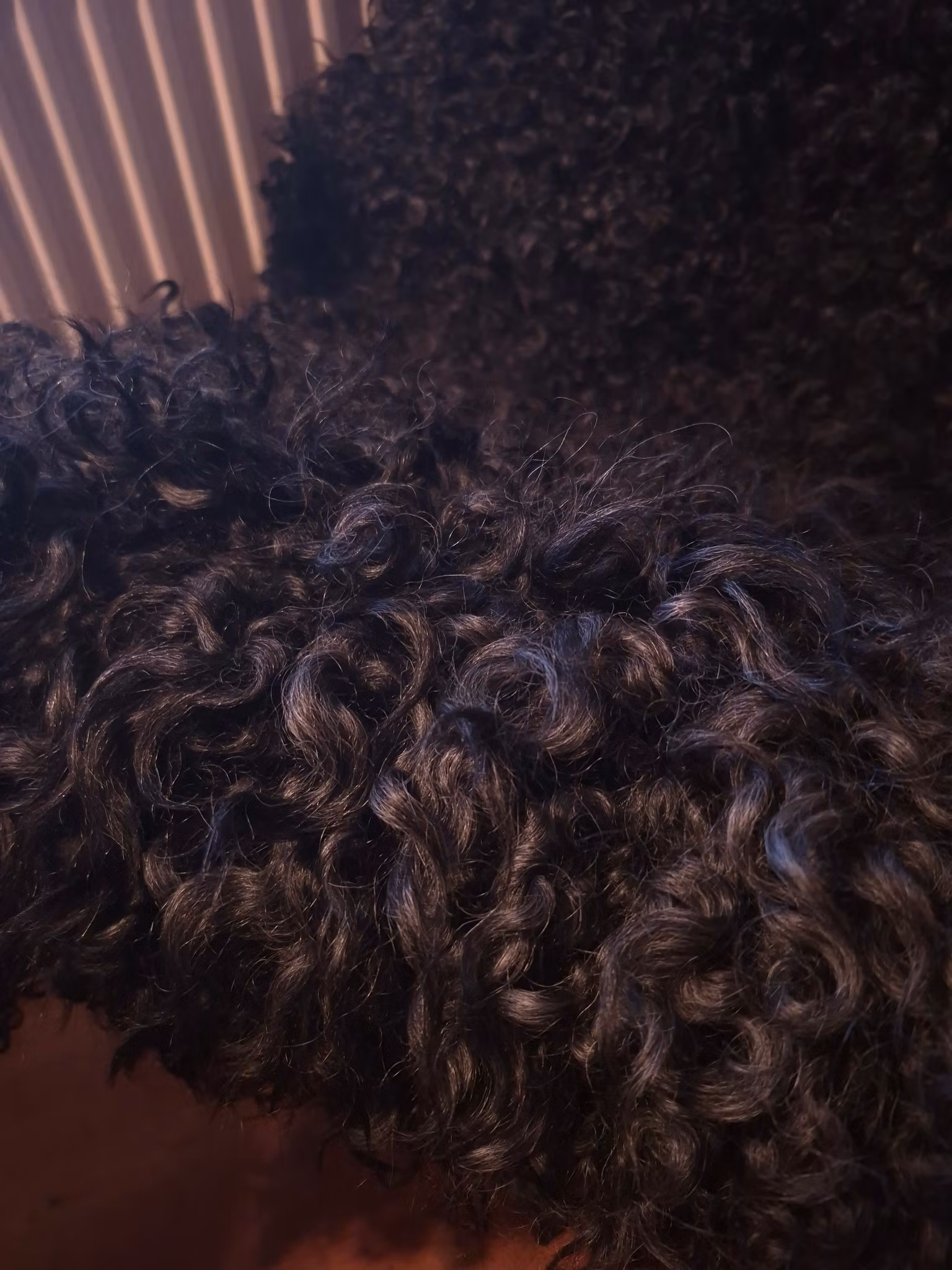 Fårskinn med svarta glansiga lockar