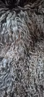 Fårskinn, silvergrå med kopparfärgade toppar