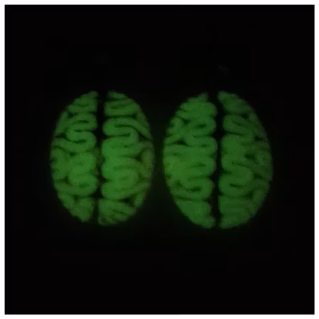 Örhängen - hjärnor