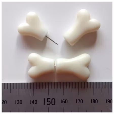 Örhängen - benknotor