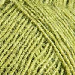 Fjallalopi - 3032 rockweed