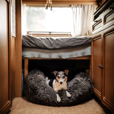 Hundeseng FUZZ M Dark Grey 60x60x20cm. District 70
