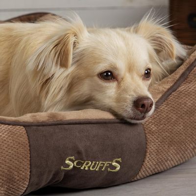 Scruffs Chester Box Bed (M), 60 x 50cm, Chocolate