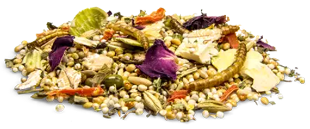BunnyNature, DvergHamsterDream EXPERT 500g