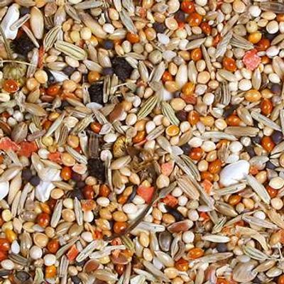 JR-FARM Birds Individual Parakitt blanding 1kg