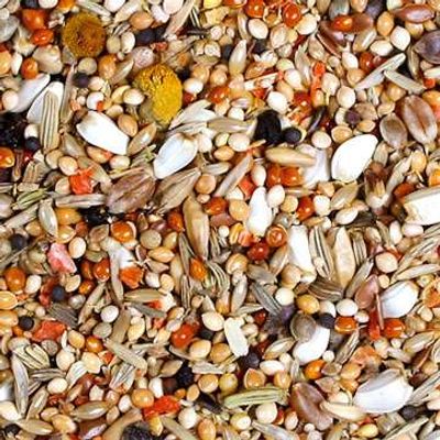 JR-FARM Birds Individual Dvergpapegøye blanding 1 kg