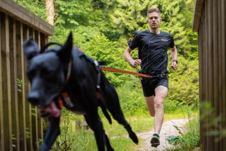 Non-Stop Bungee Leash, Black/Orange, 2.8M/23Mm