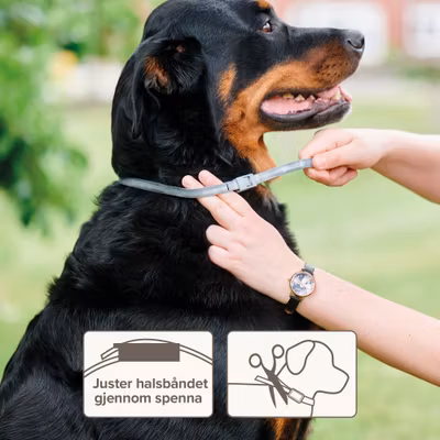 Beaphar Bio Halsbånd Hund
