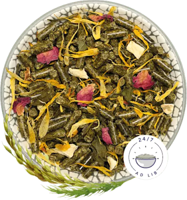 BunnyNature ChinchillaDream BASIC 1,2kg