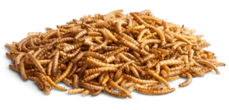 BunnyNature EnjoyNature Worm Wonder 60g