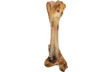 NATURE SNACK Tibia bone ca 800gr