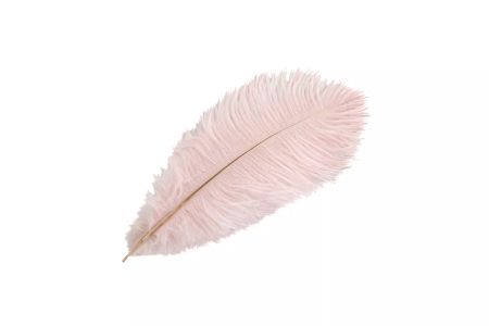 Strutsfjäder Ljusrosa