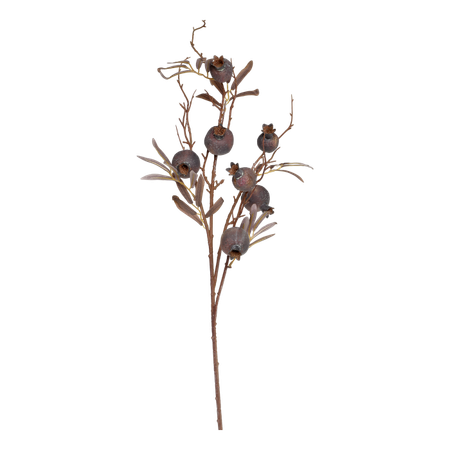 Fleur Gren m, Frökapsel