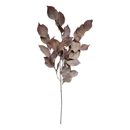 Fleur Gren m, Blad