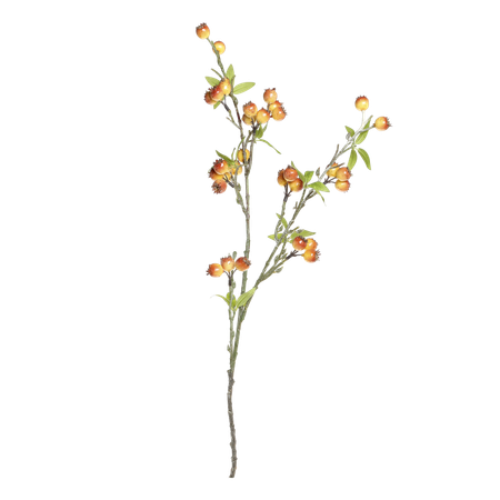 Fleur Gren m, havtorn
