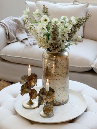 Fleur Fransk Anemon