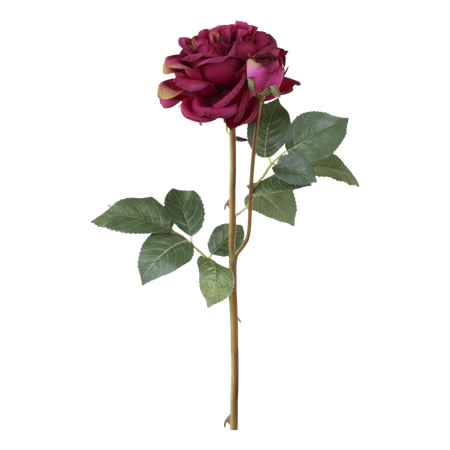 Fleur Ros
