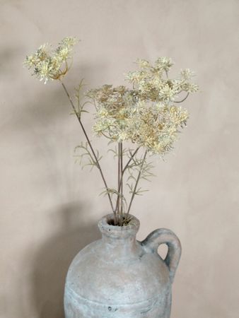 Fleur Skærmblomst