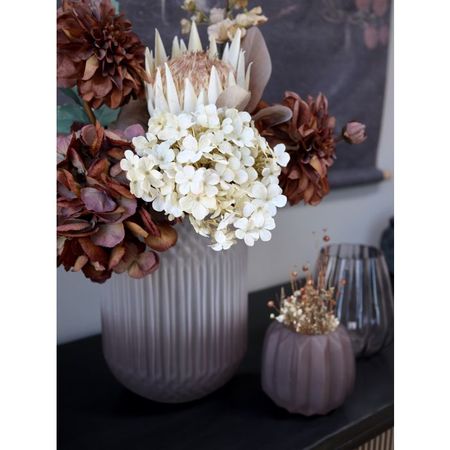 Fleur Dahlia